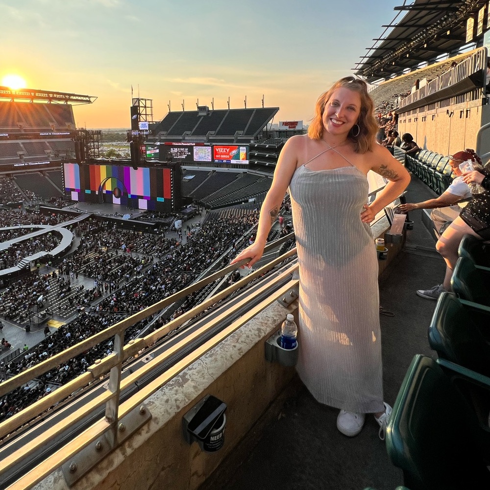 Sheer Zara Silver Dress - Picture 4 of 4